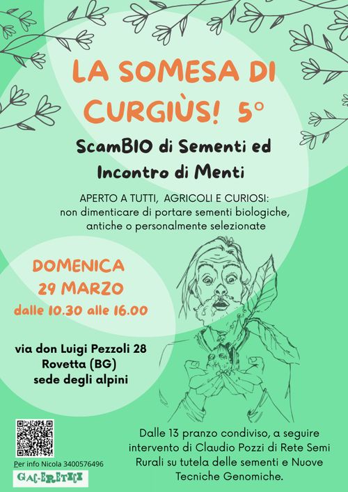 scambio semi - somesa di curgiùs